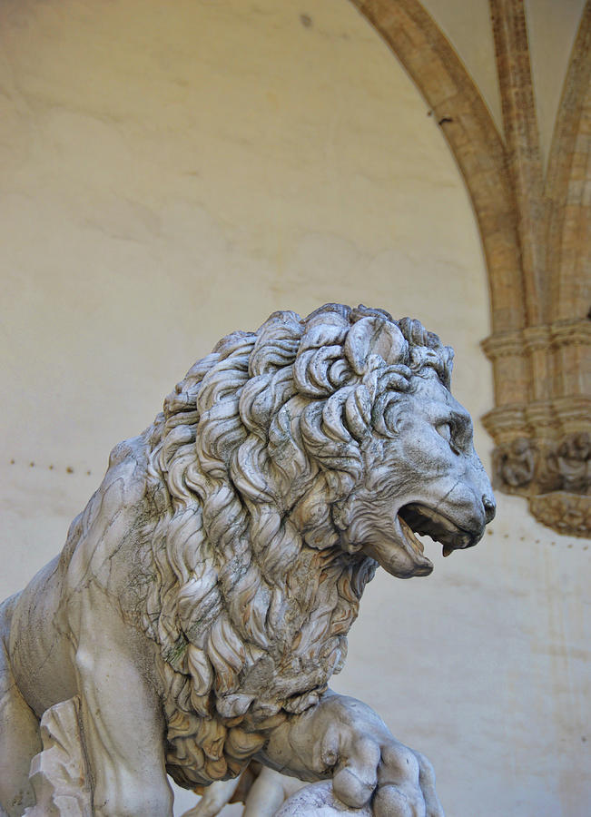 Medici Lion Photograph by JAMART Photography