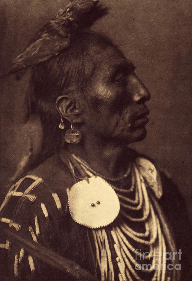 Medicine Crow, Apsaroke. The Falcon Tied To Its Head Is A Way Of Carrying The Symbol Of Its Guardian Spirit. Photo Taken From Volume 4 Of The Encyclopedia Published By Edward S. Curtis Photograph by Edward Sheriff Curtis