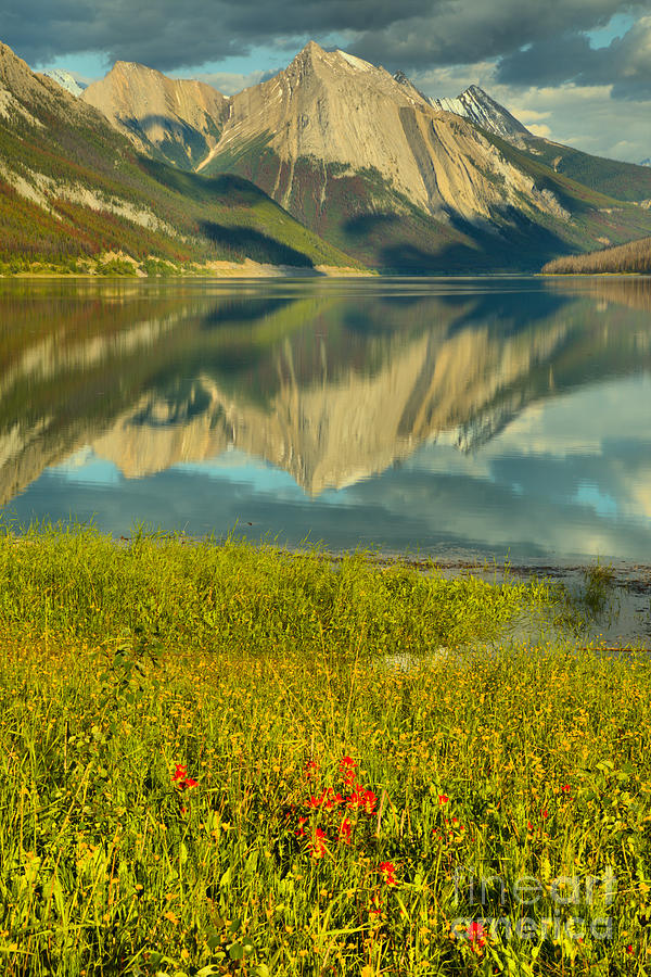 Medicine Lake Reflections And Wildflowers Portrait Photograph by Adam Jewell