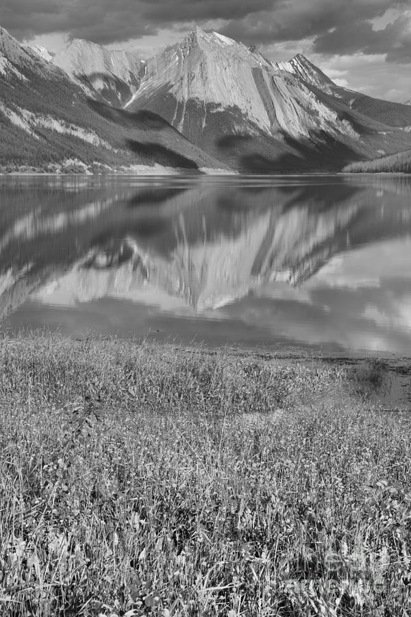Medicine Lake Reflections And Wildflowers Portrait Black And White Photograph by Adam Jewell