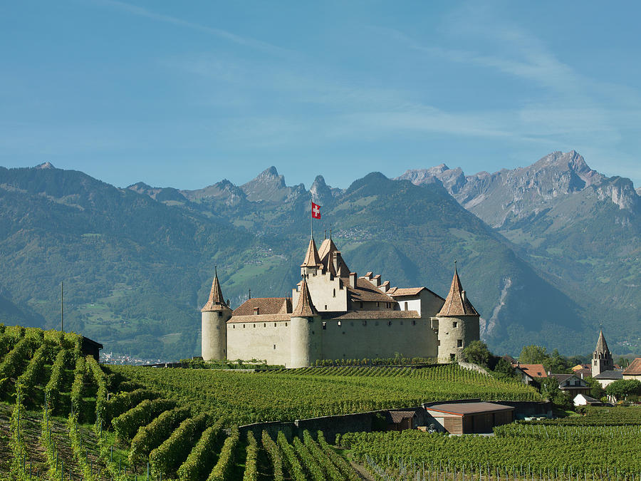 Medieval Castle Of Aigle In Vineyards Photograph by Buena Vista Images