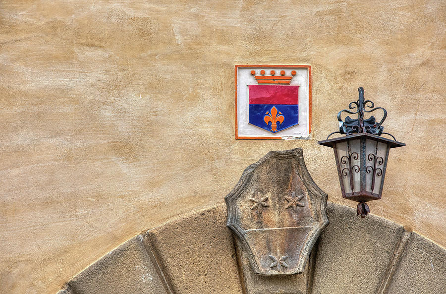 Medieval Crest Photograph by David Letts
