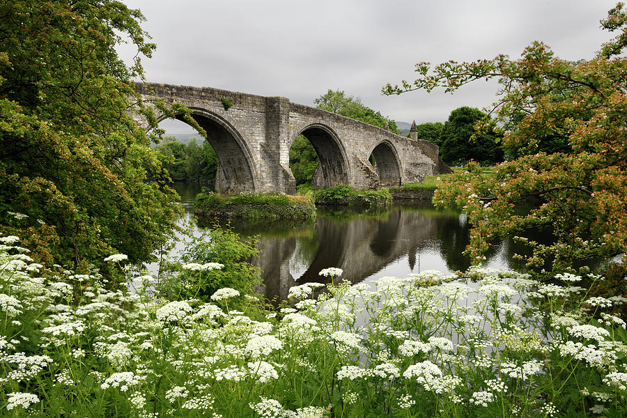 Medieval stone arch Old Stirling Bridge over the River Forth wit Photograph by Reimar Gaertner
