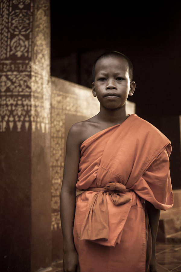 Elephant Photograph - Meditation by Felipe Queriquelli Elephant Photograph - Meditation by Felipe Queriquelli