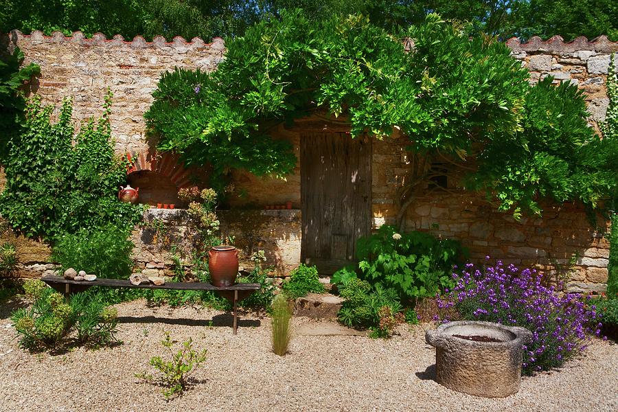 Mediterranean Garden With Simple Wooden Bench, Flowering Bushes And Espalier Tree On Stone Wall Photograph by Roger Stowell