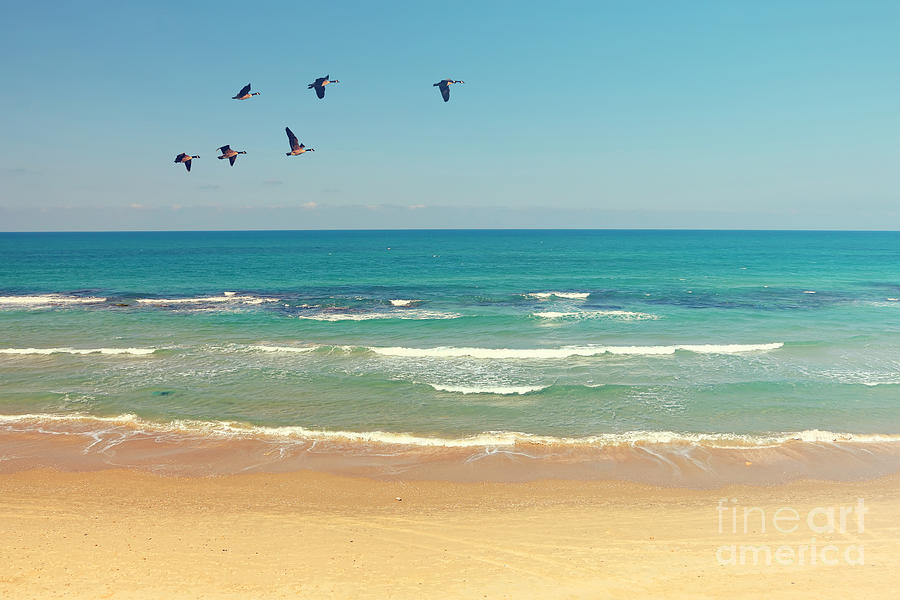 Love Photograph - Mediterranean Sea And Sand Beach by Protasov An Love Photograph - Mediterranean Sea And Sand Beach by Protasov An