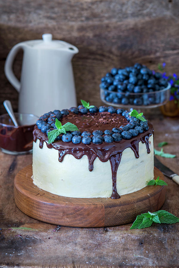 Medovik honey Cake, Russia With Sour Cream And Blueberries Photograph by Irina Meliukh