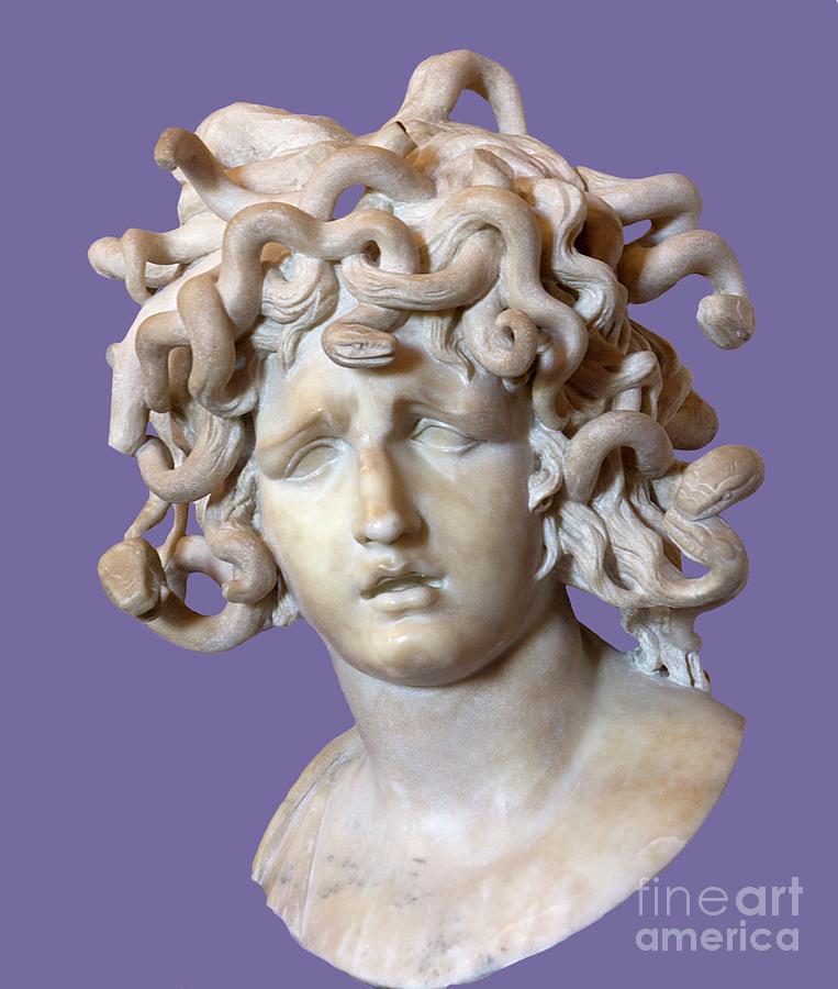 Medusa Photograph by Sheila Terry/science Photo Library