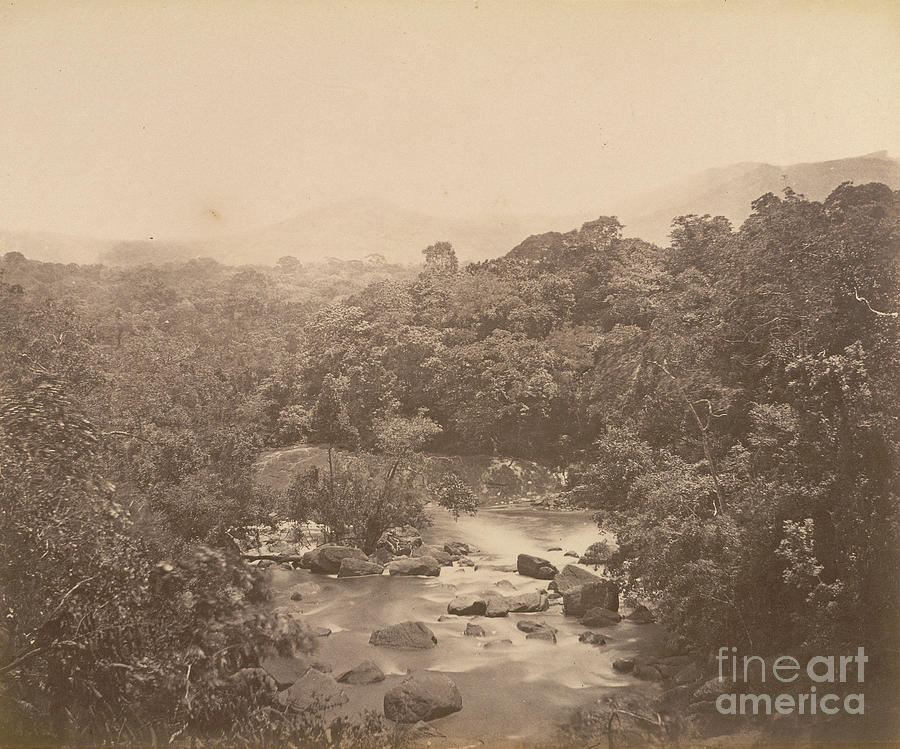 Meenmooty River, Travancore, Album Of South Indian Views, Circa 1900 Photograph by Zacharias Da Cruz