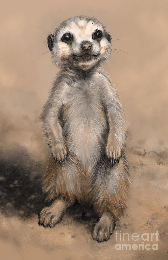 Meercat by Lora Serra Meercat by Lora Serra