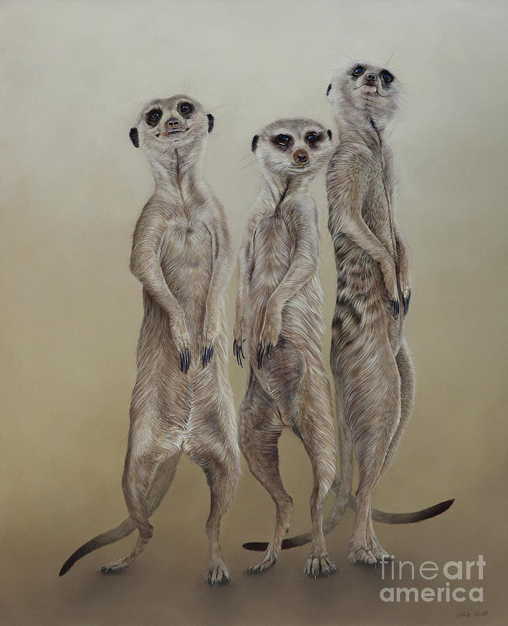 Wildlife Painting - Meerkat mob, sun angels by Odile Kidd