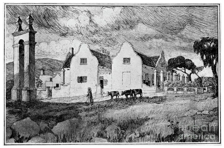 Meerlust Wine Farm, South Africa, 1931 Drawing by Print Collector