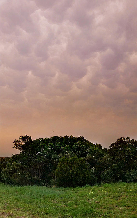 Mega Mammatus Clouds Photograph