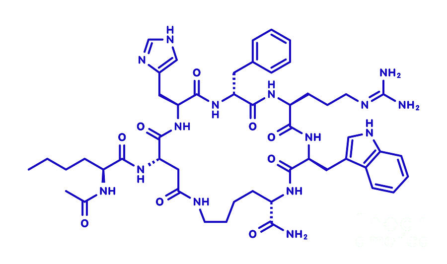 Melanotan II Synthetic Tanning Drug Molecule by Molekuul science