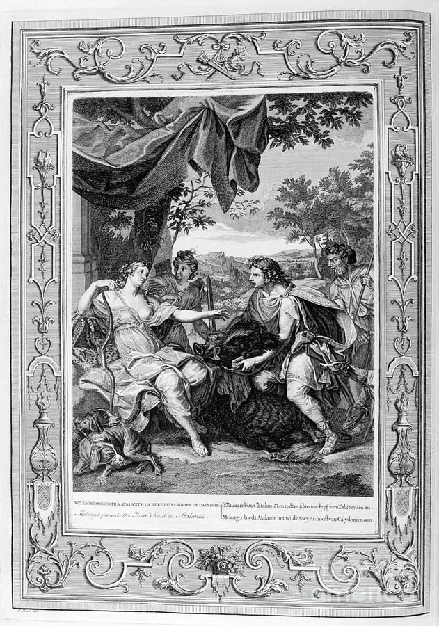 Meleager Presents The Boars Head Drawing by Print Collector