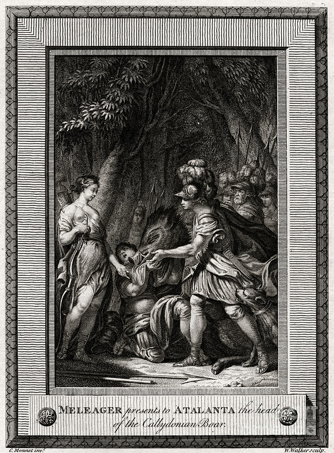 Meleager Presents To Atalanta The Head Drawing by Print Collector
