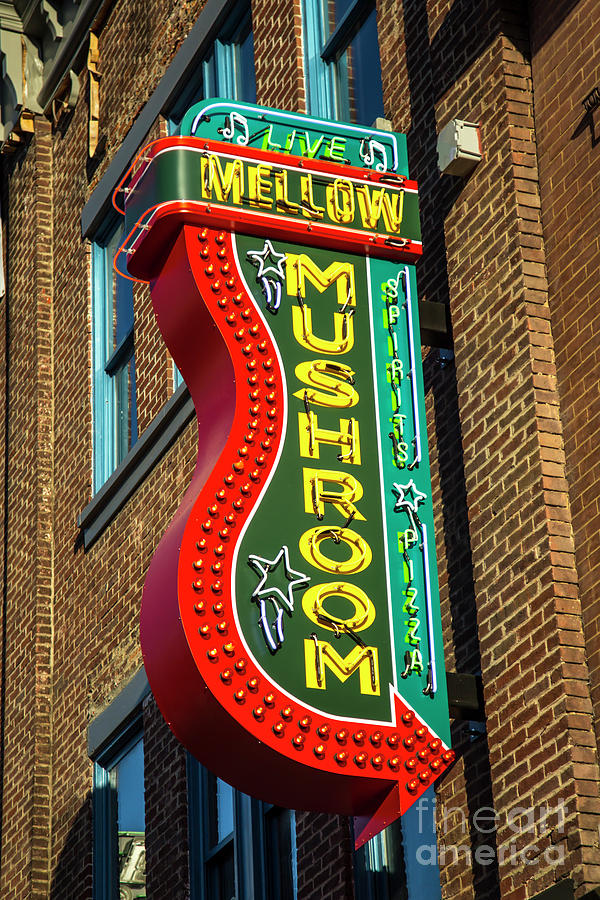 Mellow Mushroom Broadway Neon Signage Nashville Tennessee Art Photograph by Reid Callaway
