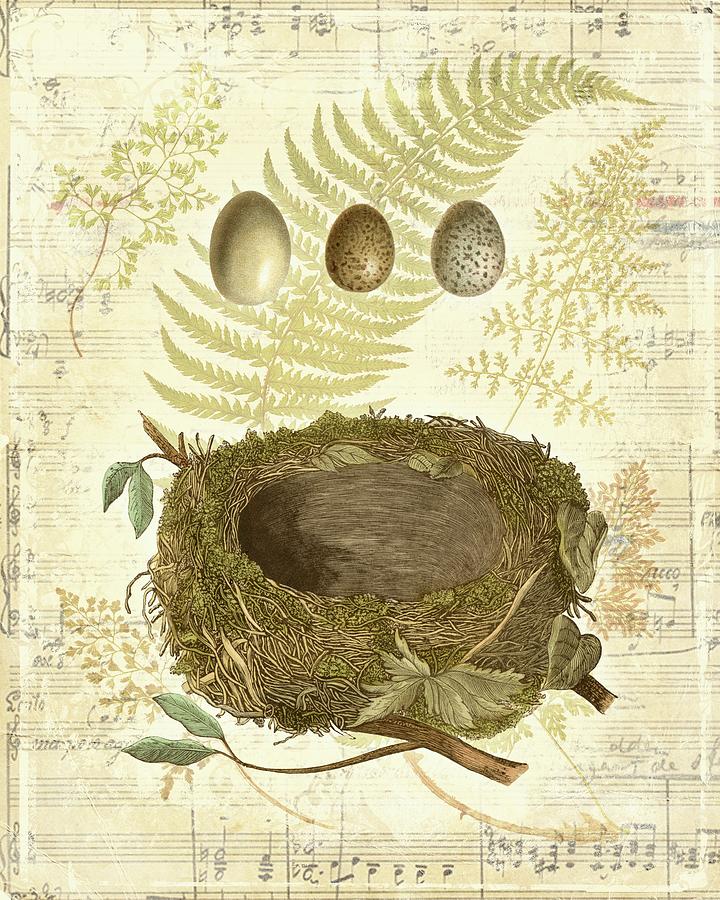 Nature Painting - Melodic Nest & Eggs I by Vision Studio