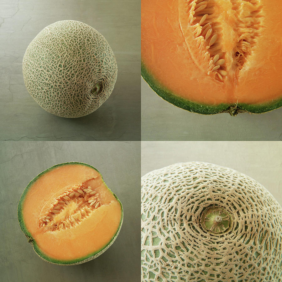 Melon Digital Art by Vittoria Regina