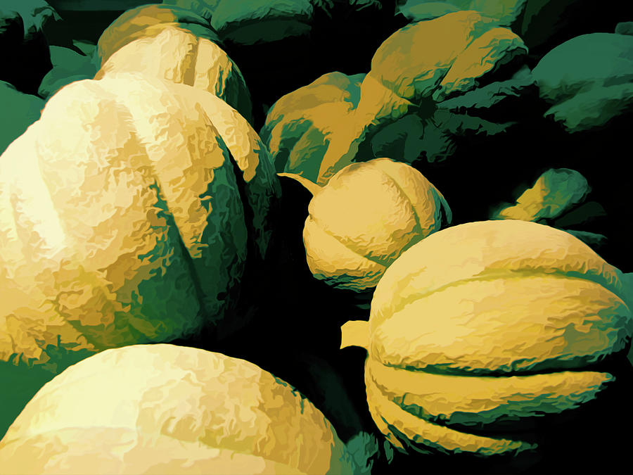 Melons, green and yellow abstract Photograph by Cathy Anderson