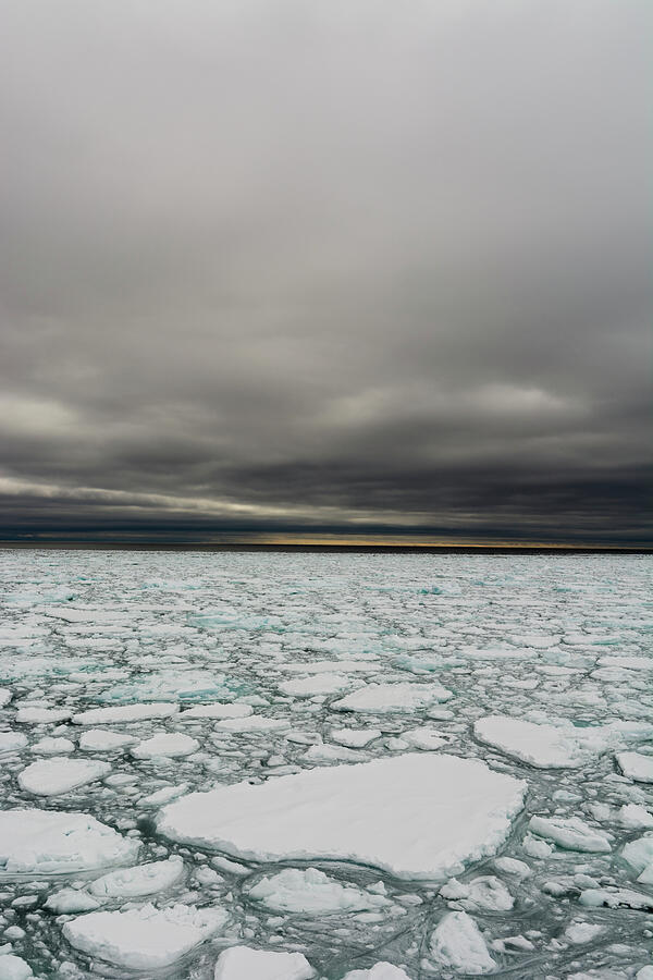 Melting Arctic Sea Ice Photograph by Sergio Pitamitz - Fine Art America