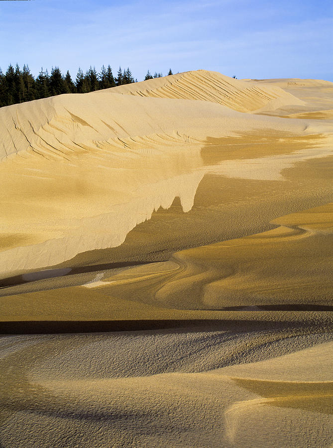 Melting Dunes Photograph by Robert Potts