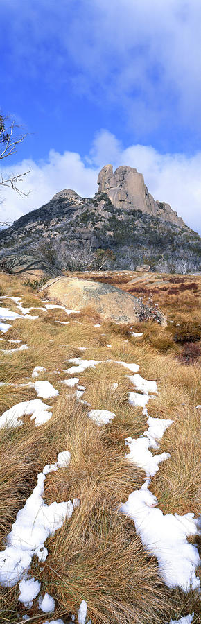 Melting Snow Vert Photograph by Wayne Bradbury Photography - Fine Art ...