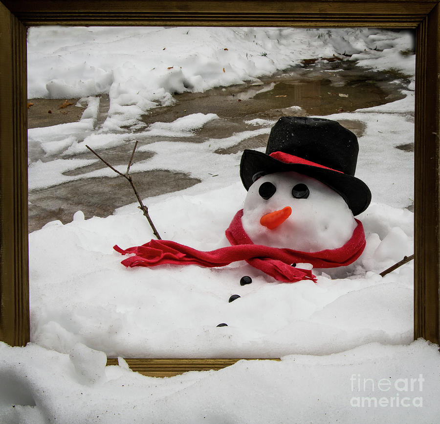 Image result for melting snowman