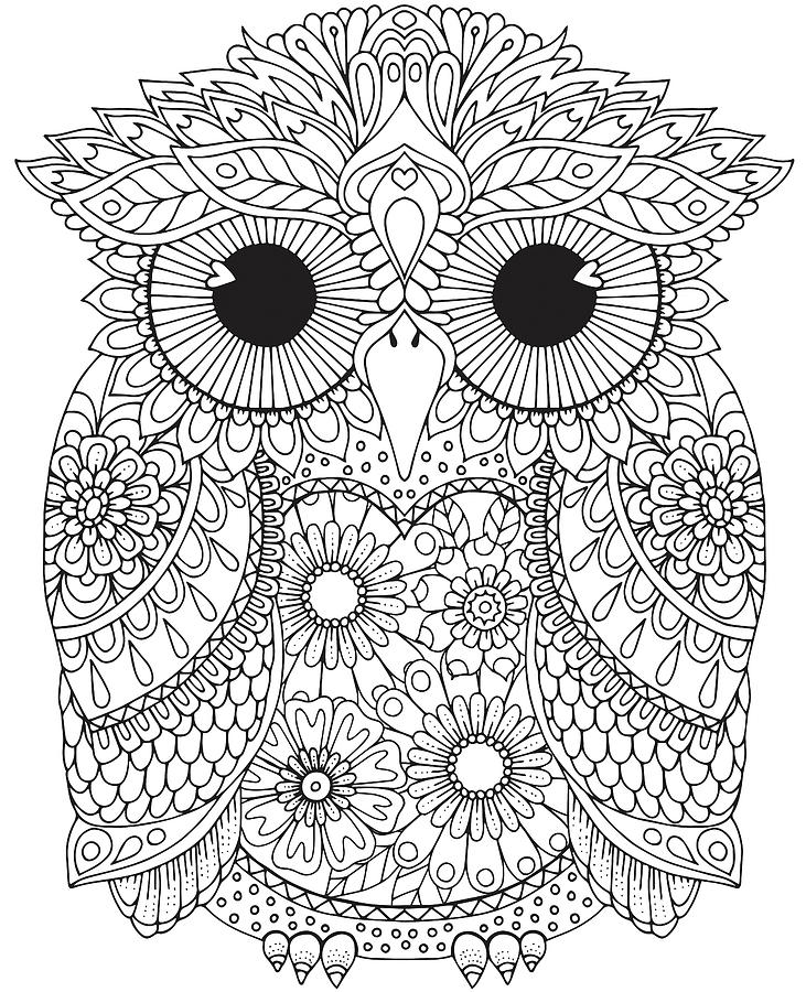 Melvin Owl Digital Art by Hello Angel - Fine Art America