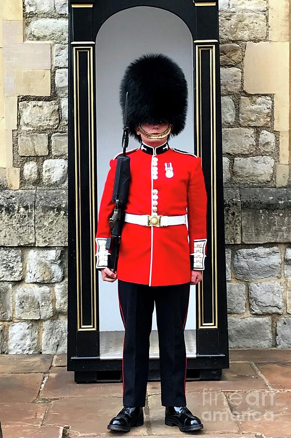 Queen Guard Photograph by Janette Boyd