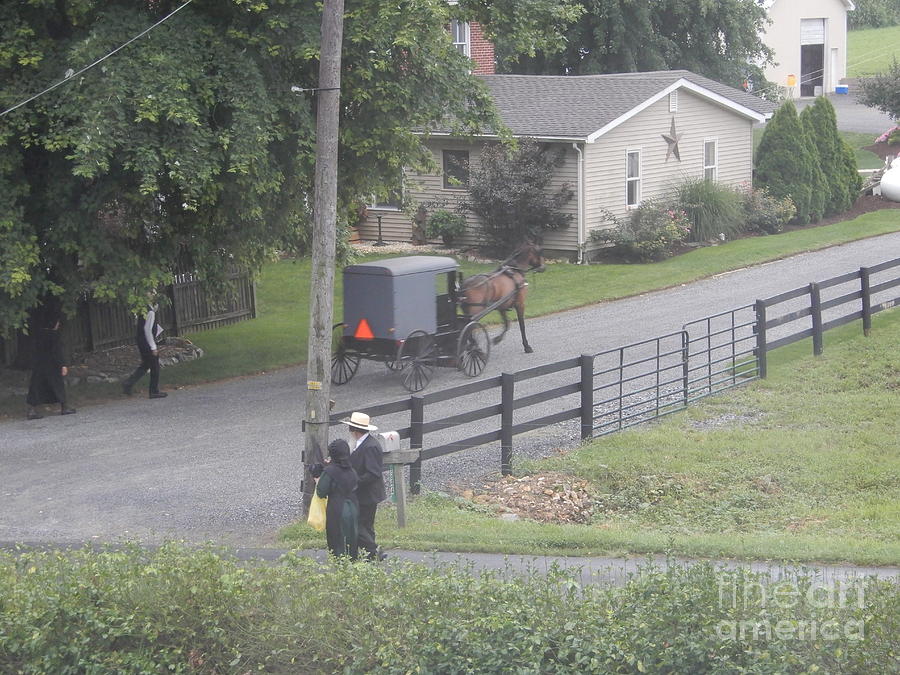 Members of an Amish Church Photograph by Christine Clark