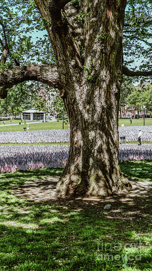 Memorial Day in Boston Photograph by Claudia M Photography