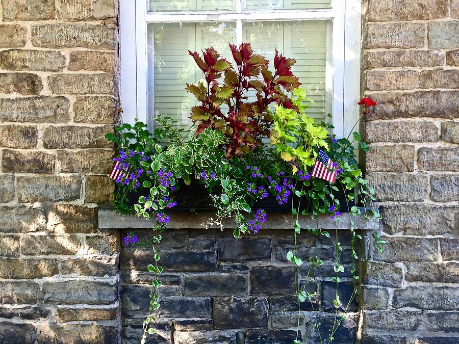 Memorial Day Window Box Photograph by Kathy Chism