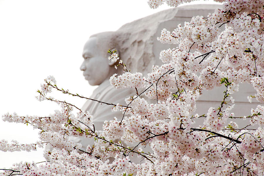 Memorial by Greg Fortier Memorial by Greg Fortier