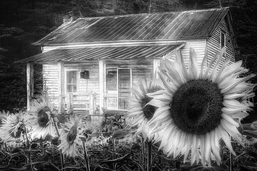 Memories of Home in Black and White Photograph by Debra and Dave Vanderlaan