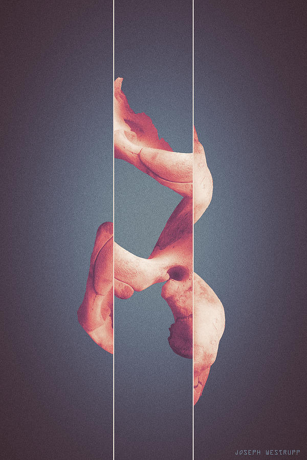 Memorism - Surreal Abstract Elephant Bone Collage With Lines by Joseph Westrupp Memorism - Surreal Abstract Elephant Bone Collage With Lines by Joseph Westrupp