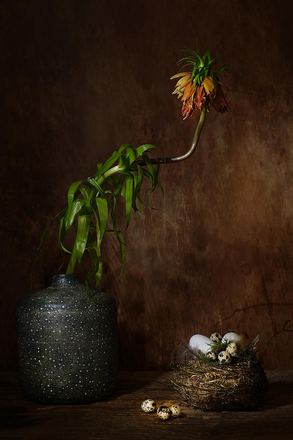 Flower Photograph - Memory From The Past by Saskia Dingemans