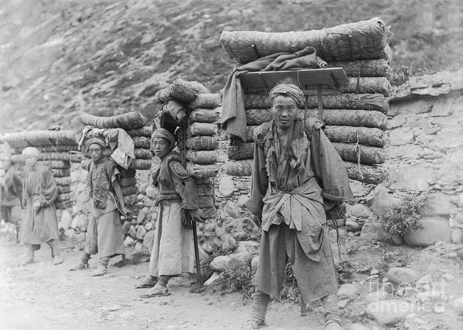 Men Carry Baled Tea Photograph by Bettmann