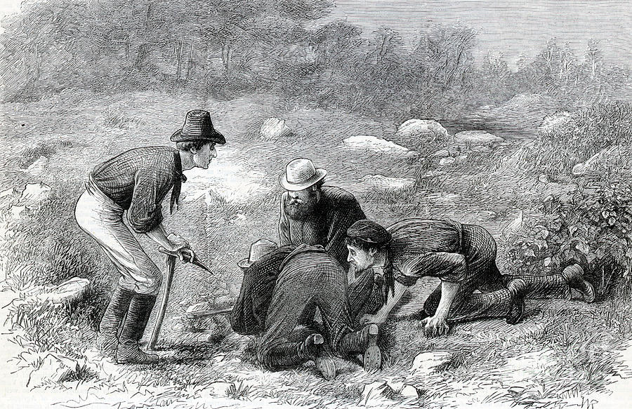 Men Digging For Gold Photograph by Bettmann