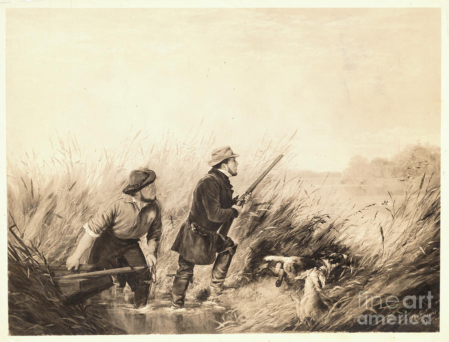 Men With Dogs Hunting Photograph by Bettmann