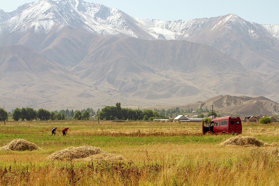 Men working fields in Kochkor Village, Kyrgyzstan Photograph by Karen Foley