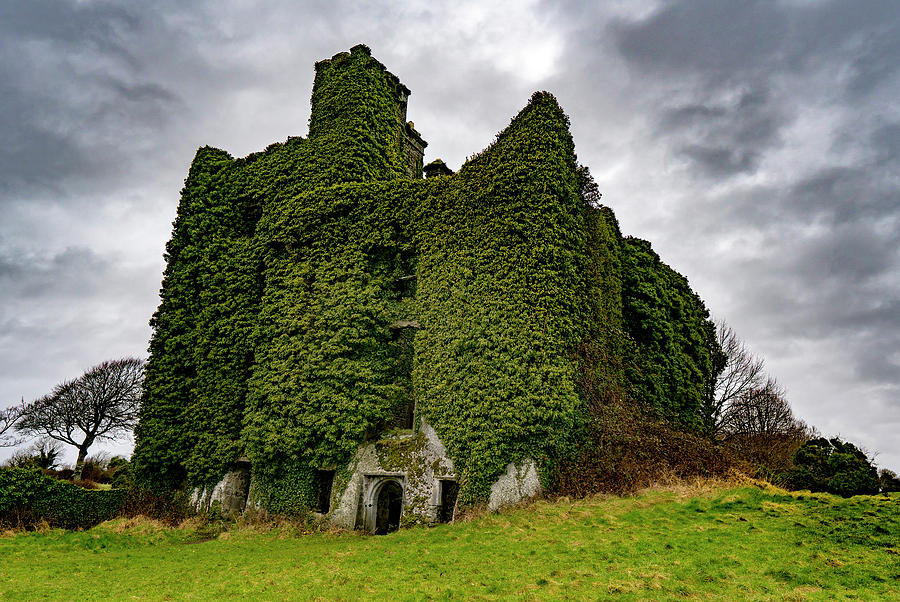 Menlo Castle Photograph by Arthur Oleary