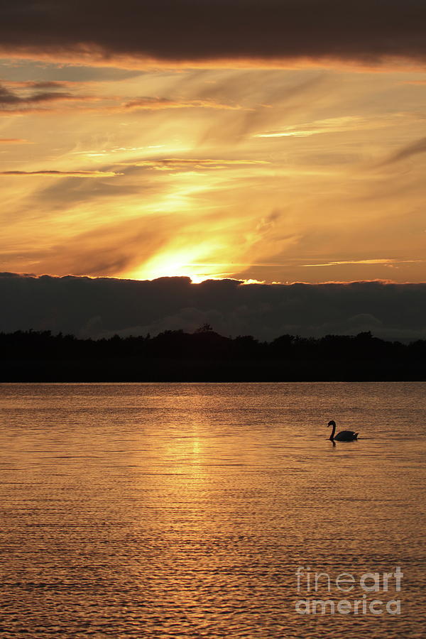 Menlo Sunset 1 by Peter Skelton Menlo Sunset 1 by Peter Skelton