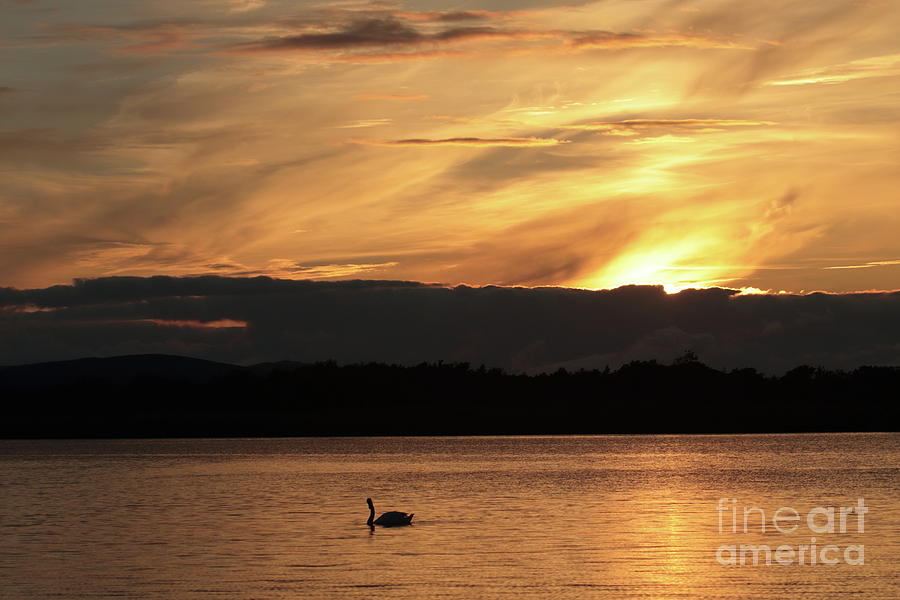 Menlo Sunset 2 by Peter Skelton Menlo Sunset 2 by Peter Skelton