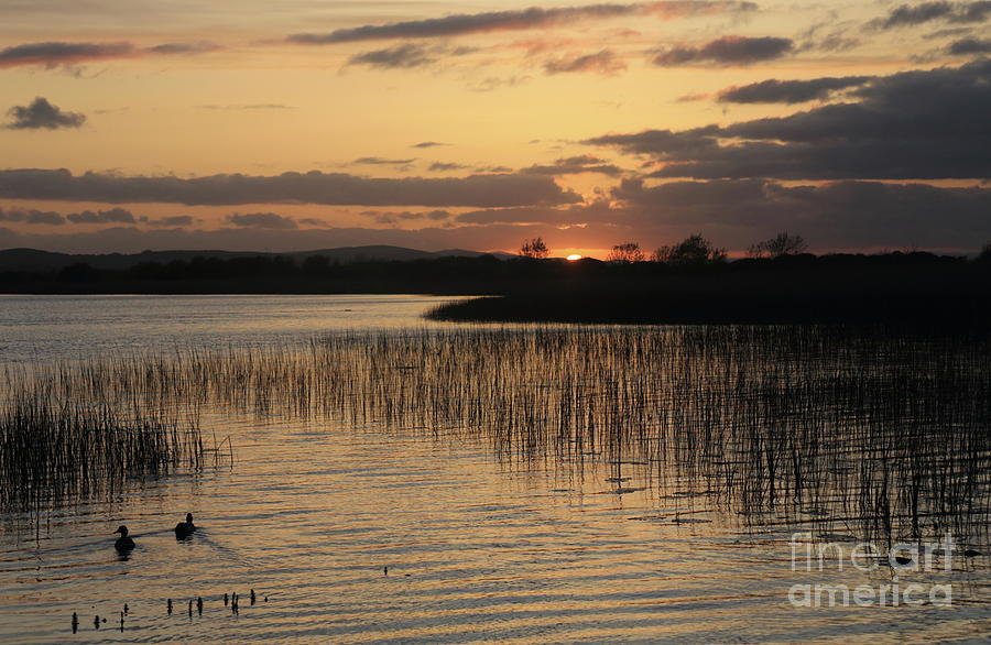 Menlo sunset 3 by Peter Skelton Menlo sunset 3 by Peter Skelton