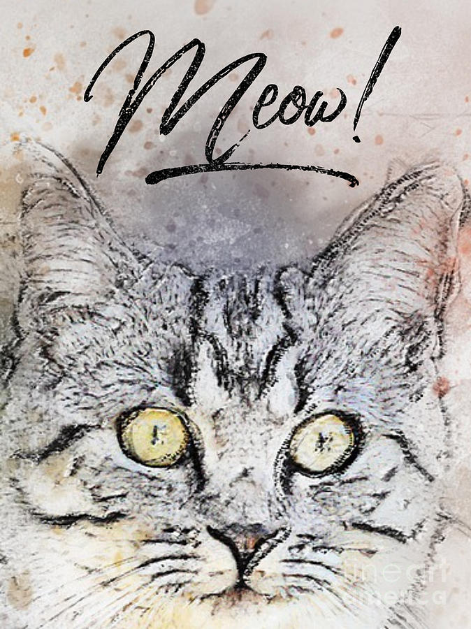 Cat Head Mixed Media - Meow Cat by PurrVeyor Com Cat Head Mixed Media - Meow Cat by PurrVeyor Com