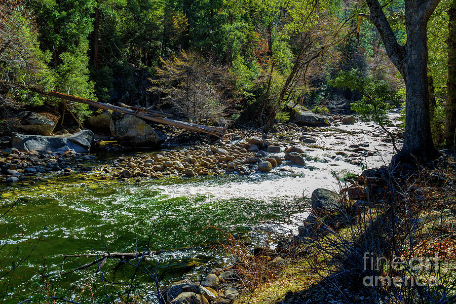 Merced River Flowing at Yosemite Photograph by Roslyn Wilkins