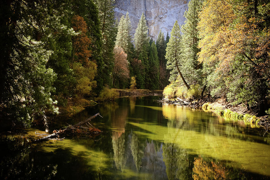 Merced River In Autumn, Yosemite Photograph by Leon Reilly