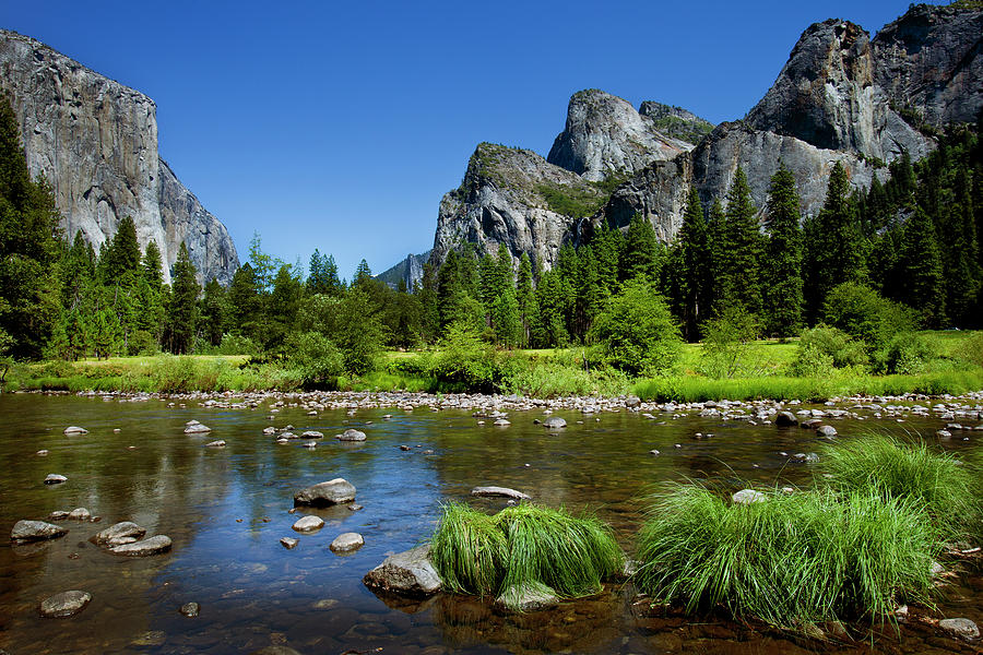 Merced River, Yosemite National Park by Geri Lavrov