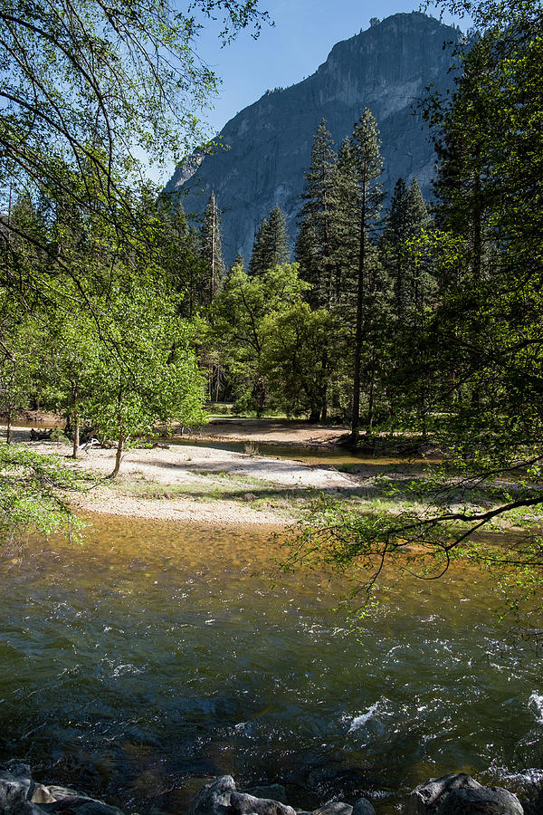 Merced River Yosemite Valley Photograph by David L Moore